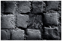 Pavés_VillersLaVille_240121_YF--5