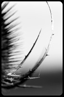 Yvan Flamant_ChezNuma-0289