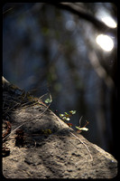 Yvan Flamant_ChezNuma-0294