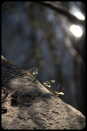 Yvan Flamant_ChezNuma-0294