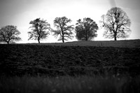 Yvan Flamant_ChezNuma-0238
