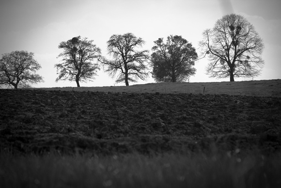 Yvan Flamant_ChezNuma-0238