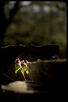 Yvan Flamant_ChezNuma-0191