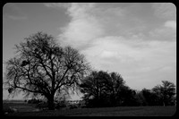 Yvan Flamant_ChezNuma-0249
