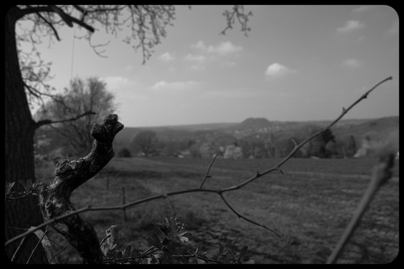 Yvan Flamant_ChezNuma-0243